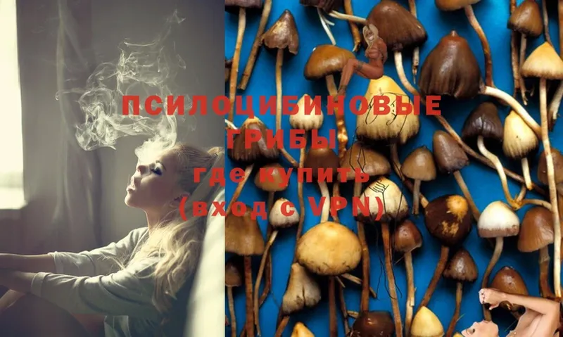 Галлюциногенные грибы Magic Shrooms  Азов 